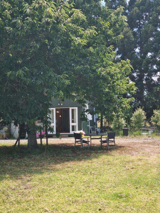 Ace B N B Bed & Breakfast Kerikeri Exterior photo